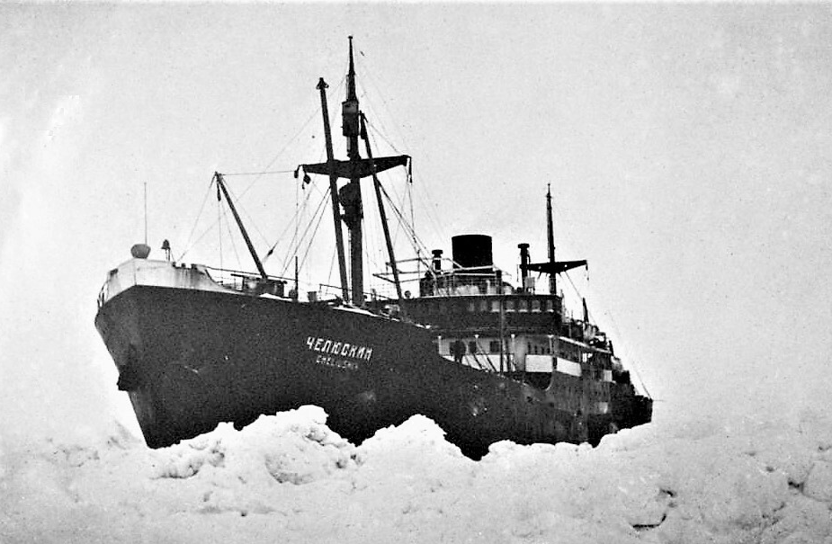 Ледовый пароход. Шмидт Челюскин. Арктика Челюскин. Корабль Челюскин. Челюскин 1934.